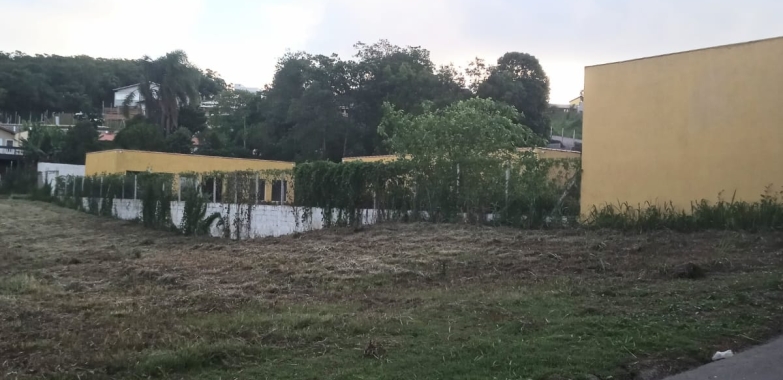 Indicação ajuda, mas anúncio trabalha todos os dias