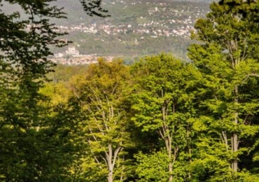 Área de Reserva Legal RL à Venda em Miracatu/SP | 2.492.000m²