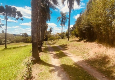 Sítio à Venda em São Roque/SP | Área de 48.000m²